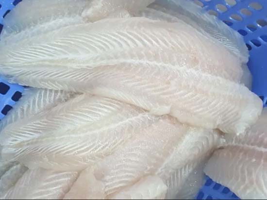 Pangasius / Basa Fish Fillets