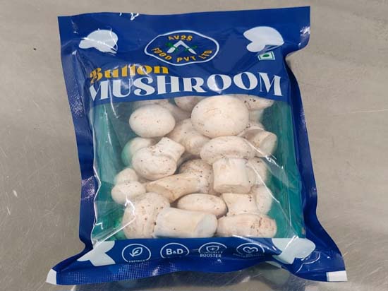 Button Mushroom