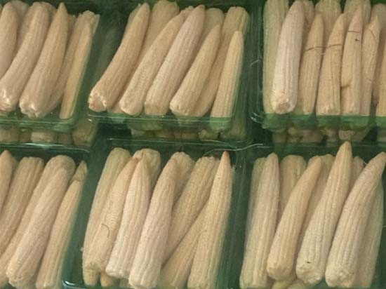 Baby Corn